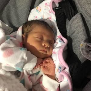 Meet your Posher, Joel